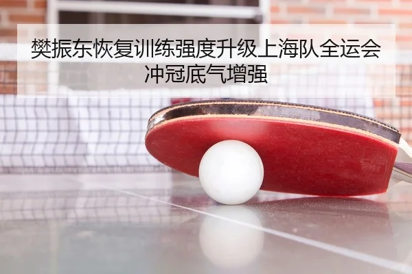 樊振东恢复训练强度升级上海队全运会冲冠底气增强 - BETWAYSPORTS